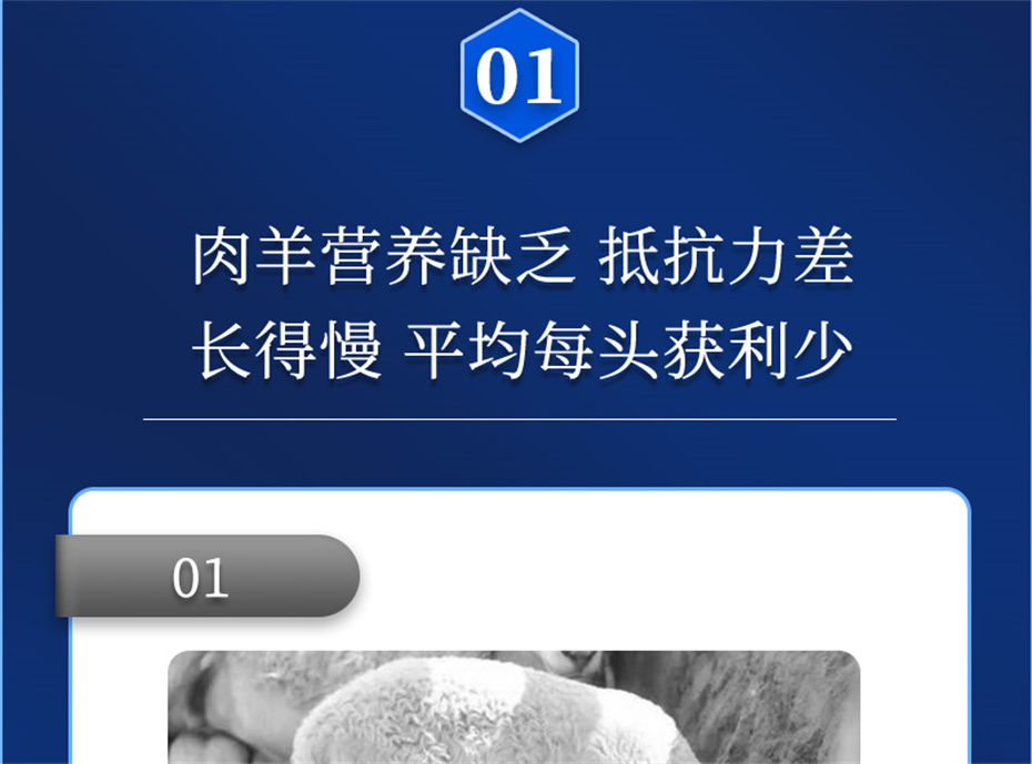 BSPORTSһ˶ӼƷ