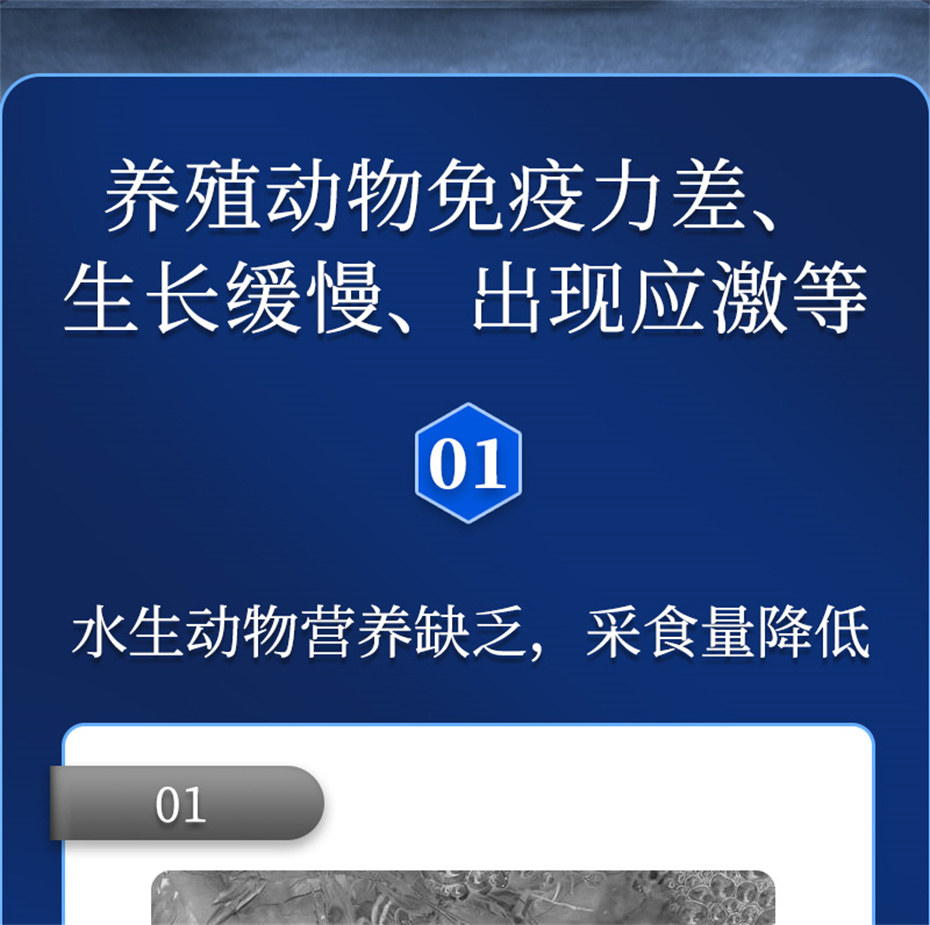 BSPORTSһ˶ˮӼά1ŲƷ