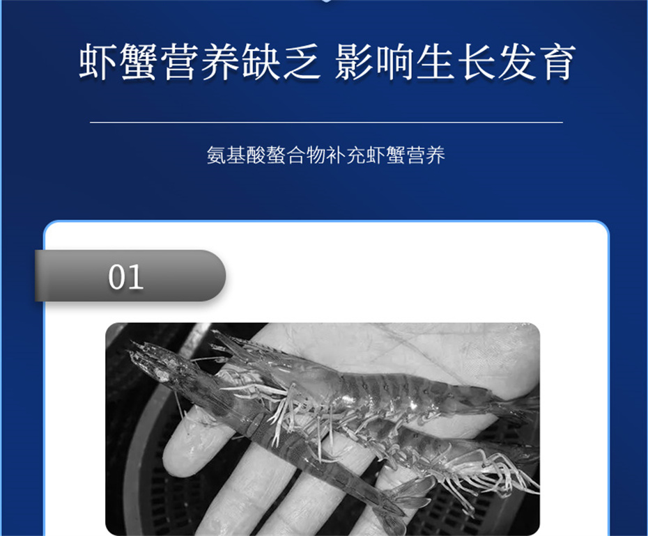BSPORTSһ˶ˮӼϺƷ