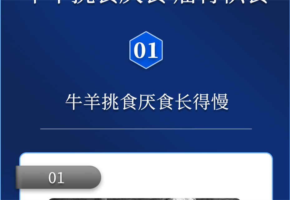 BSPORTSһ˶ţӼţ׳챦Ʒ