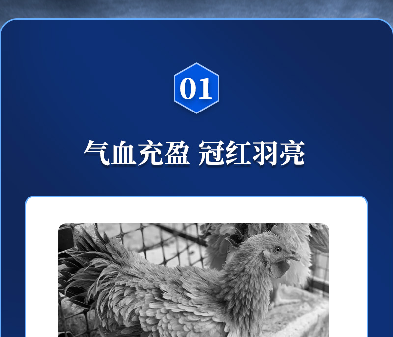BSPORTSһ˶ӼɫƷ