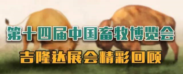 BSPORTSһ˶չй