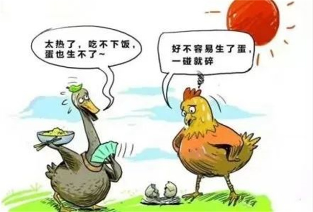 Ӧ