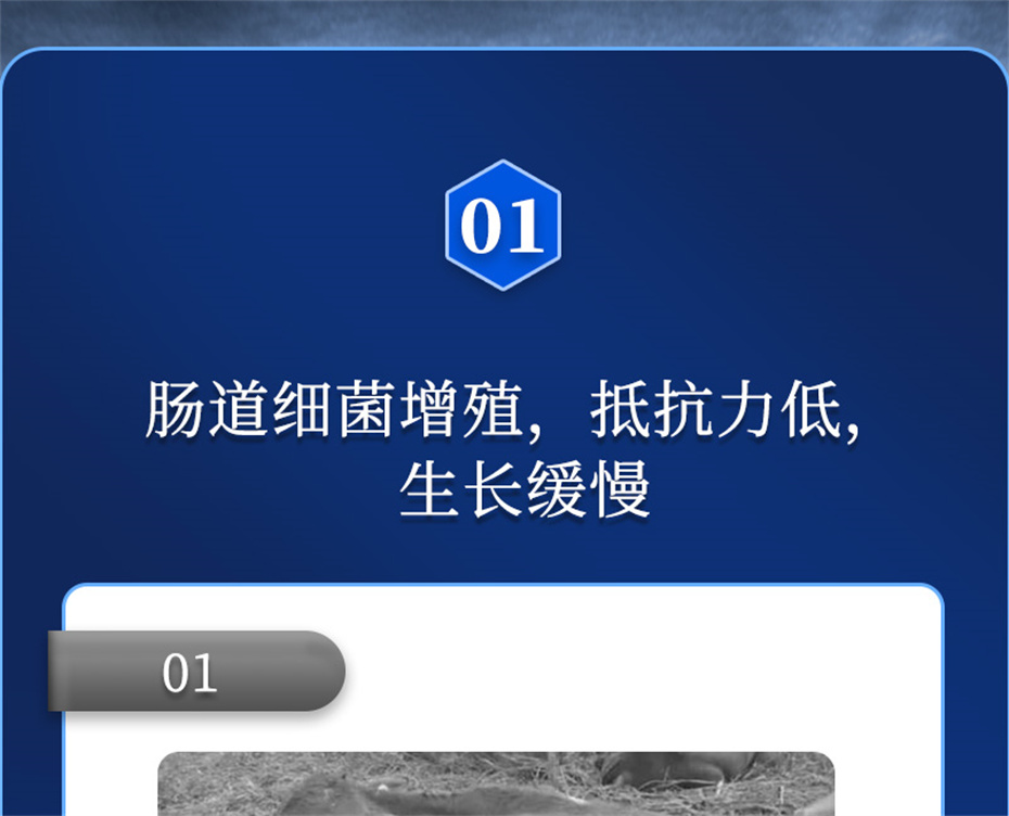BSPORTSһ˶ӼŶĲƷ