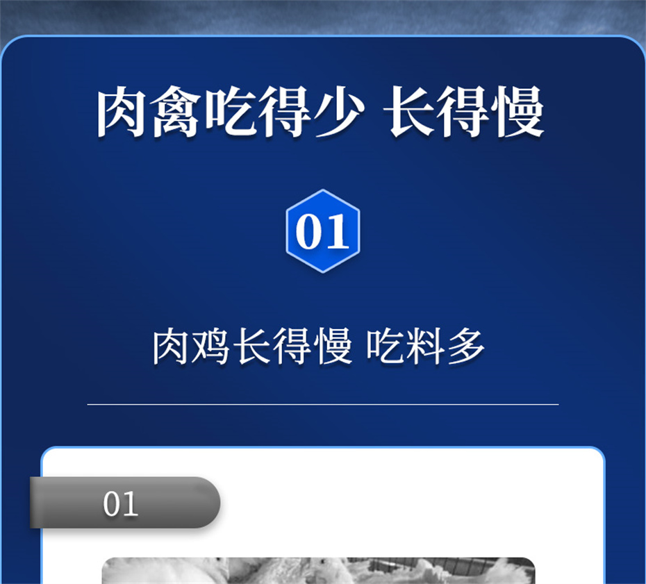 BSPORTSһ˶ӼزƷ